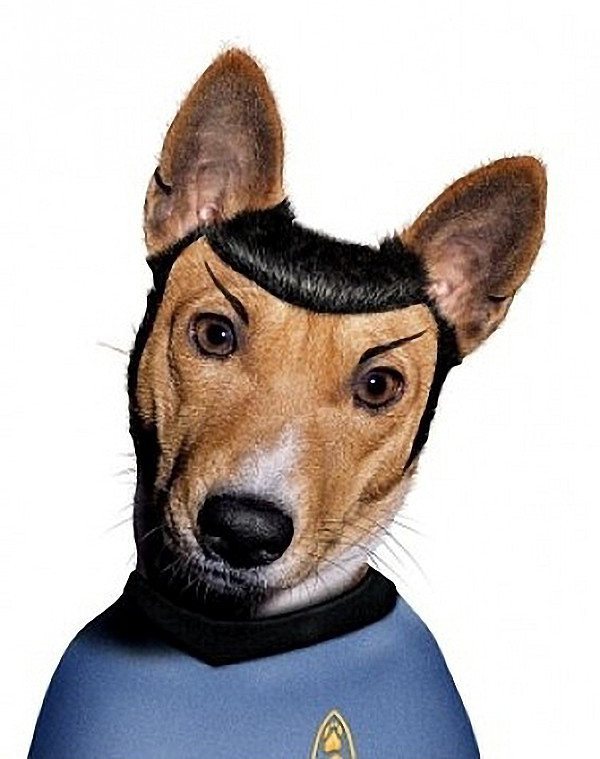 Mr. Spock - Dog Disguisefamous person faces celebrity animal funny